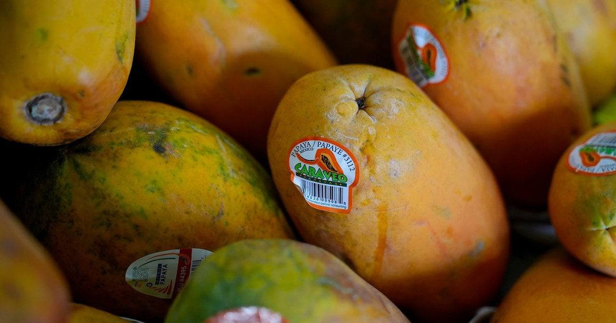 Pięć owoców o najwyższej zawartości witaminy C — to nie pomarańcza ani cytryna